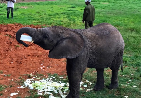 Harare, Zimbabwe, Days 1+2